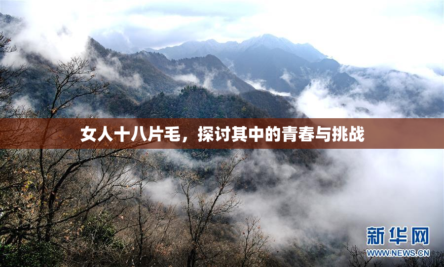 女人十八片毛，探讨其中的青春与挑战