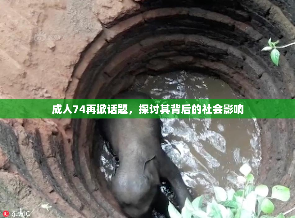成人74再掀话题，探讨其背后的社会影响