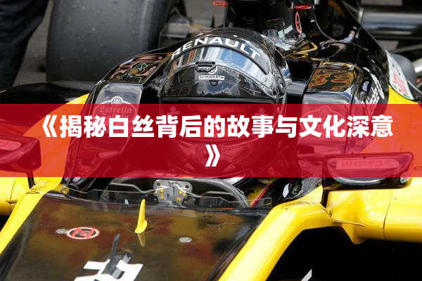 《揭秘白丝背后的故事与文化深意》