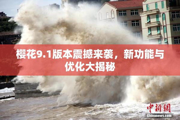 樱花9.1版本震撼来袭，新功能与优化大揭秘