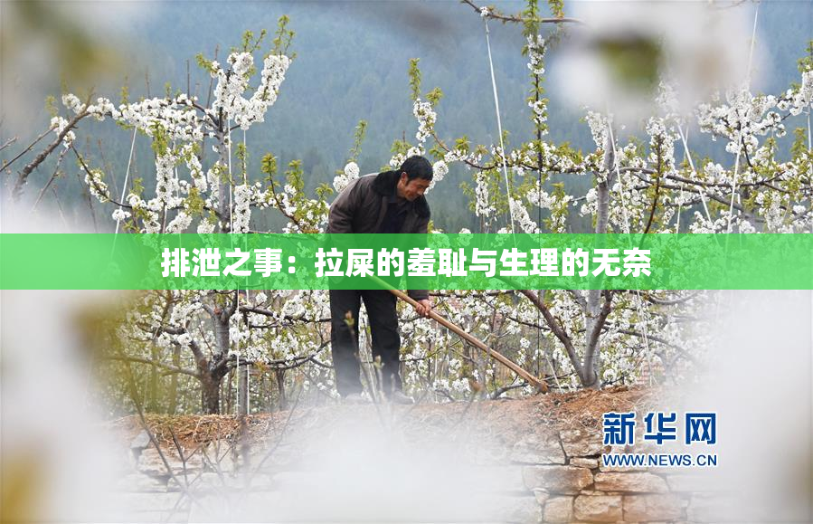 排泄之事：拉屎的羞耻与生理的无奈