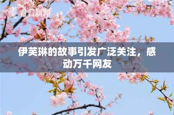 伊芙琳的故事引发广泛关注，感动万千网友