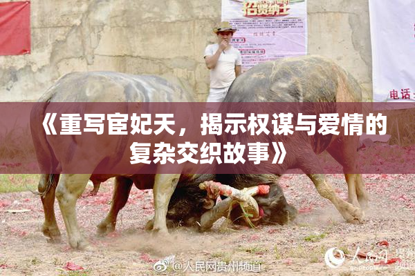 《重写宦妃天，揭示权谋与爱情的复杂交织故事》