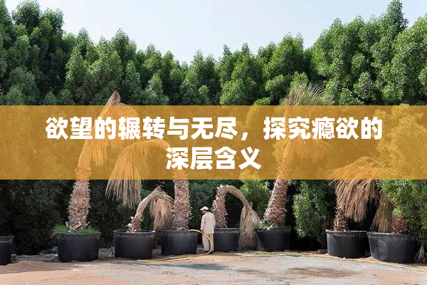 欲望的辗转与无尽，探究瘾欲的深层含义