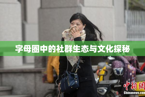 字母圈中的社群生态与文化探秘