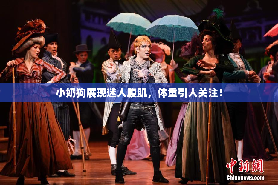 小奶狗展现迷人腹肌，体重引人关注！