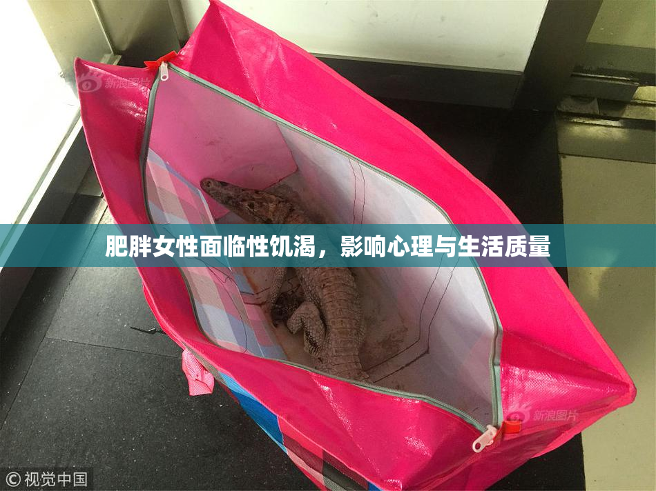 肥胖女性面临性饥渴，影响心理与生活质量