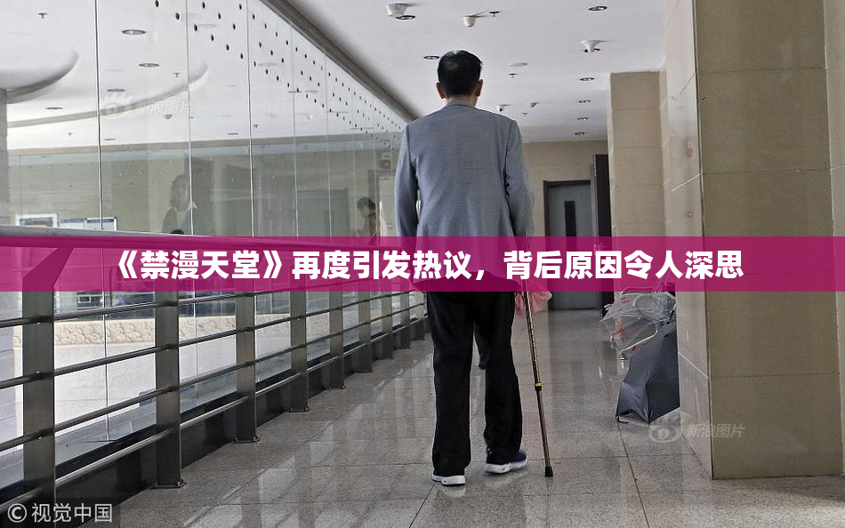 《禁漫天堂》再度引发热议，背后原因令人深思