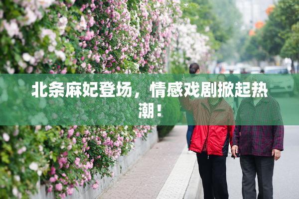 北条麻妃登场，情感戏剧掀起热潮！