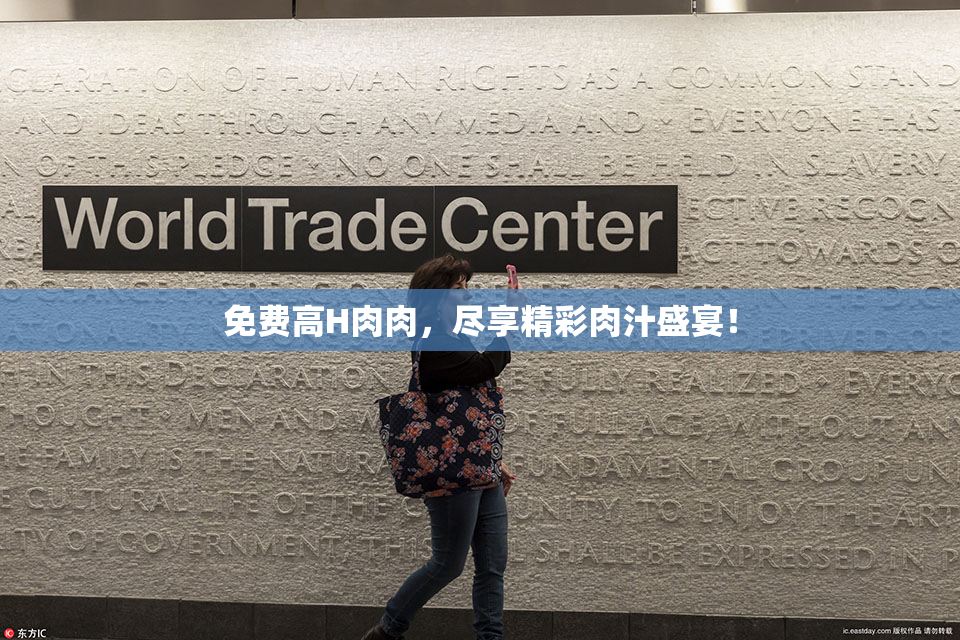 免费高H肉肉，尽享精彩肉汁盛宴！