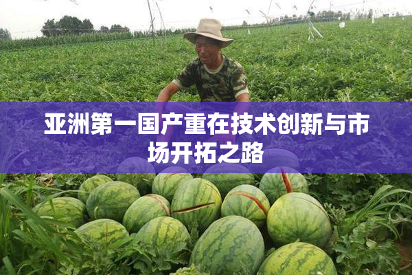 亚洲第一国产重在技术创新与市场开拓之路