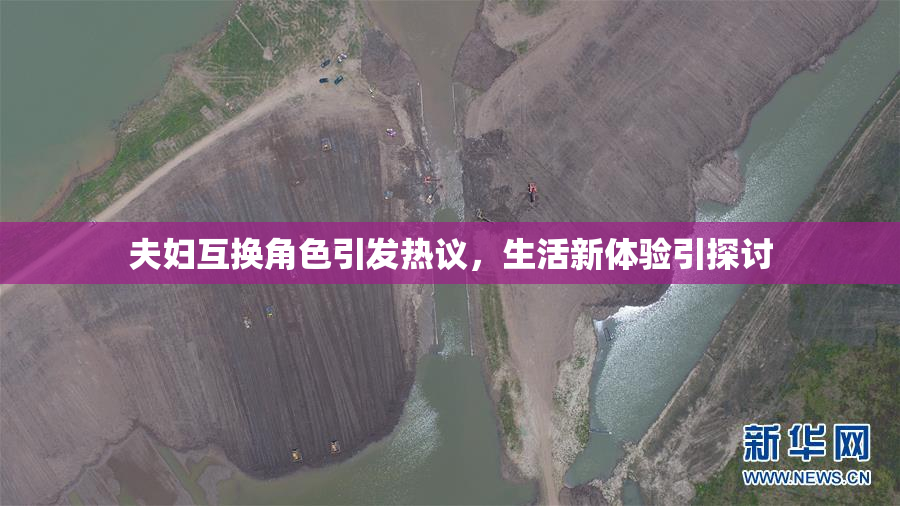 夫妇互换角色引发热议，生活新体验引探讨