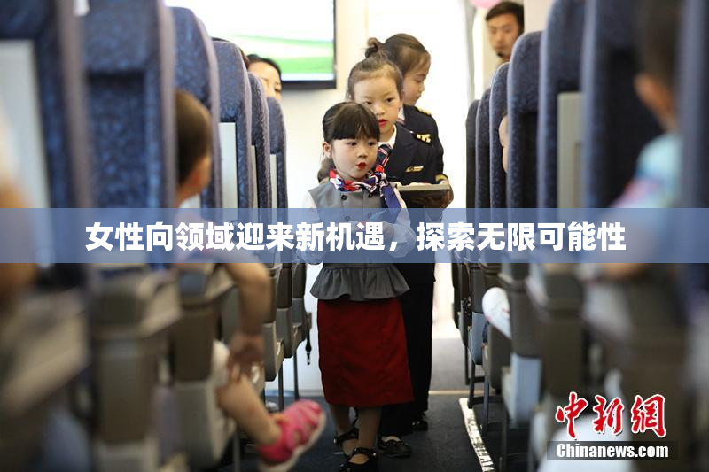 女性向领域迎来新机遇，探索无限可能性