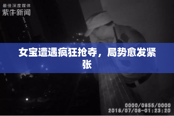 女宝遭遇疯狂抢夺，局势愈发紧张