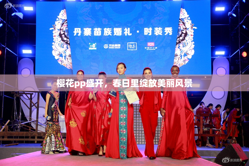 樱花pp盛开，春日里绽放美丽风景