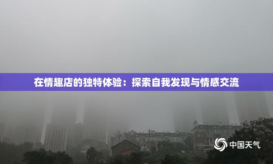 在情趣店的独特体验：探索自我发现与情感交流