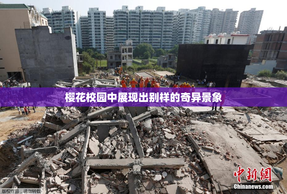 樱花校园中展现出别样的奇异景象