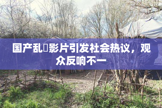 国产乱婬影片引发社会热议，观众反响不一