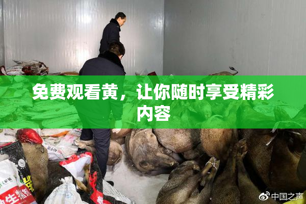 免费观看黄，让你随时享受精彩内容