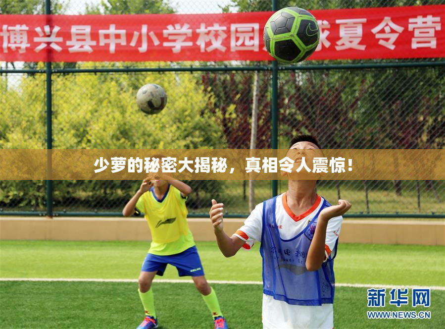 少萝的秘密大揭秘，真相令人震惊！