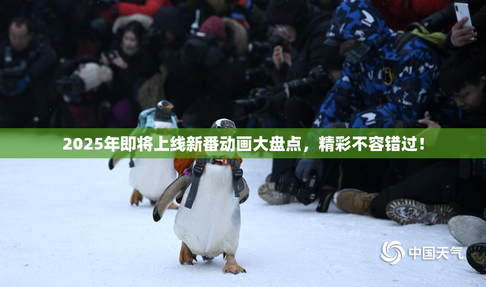 2025年即将上线新番动画大盘点，精彩不容错过！