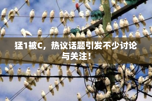 猛1被C，热议话题引发不少讨论与关注！