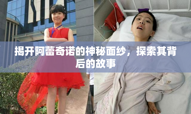 揭开阿蕾奇诺的神秘面纱，探索其背后的故事
