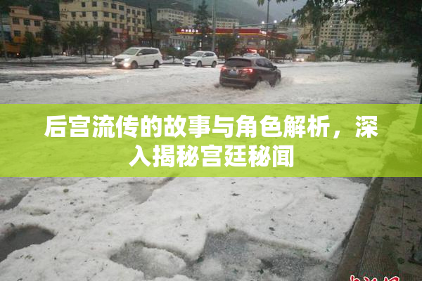 后宫流传的故事与角色解析，深入揭秘宫廷秘闻