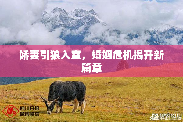 娇妻引狼入室，婚姻危机揭开新篇章