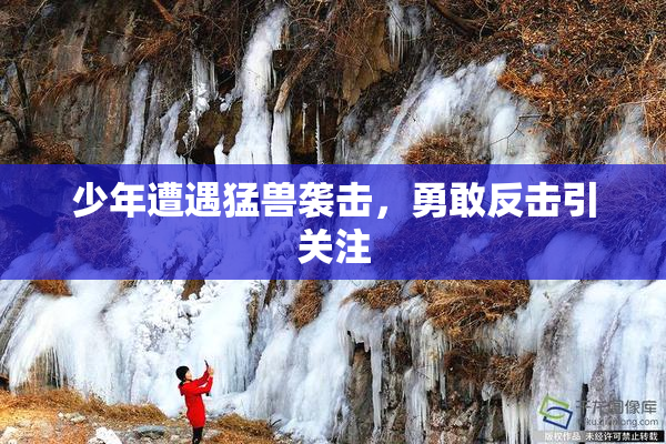 少年遭遇猛兽袭击，勇敢反击引关注