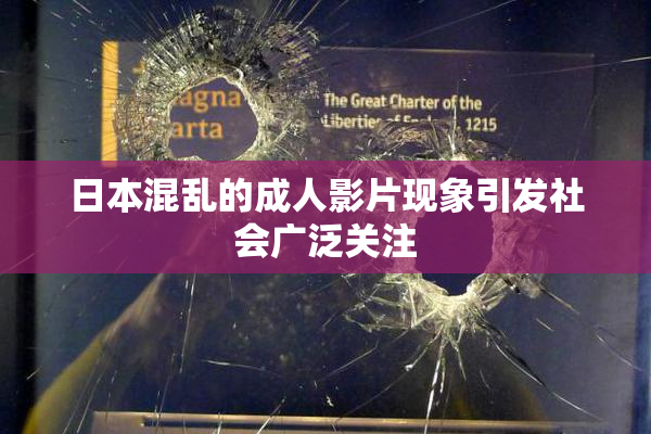 日本混乱的成人影片现象引发社会广泛关注