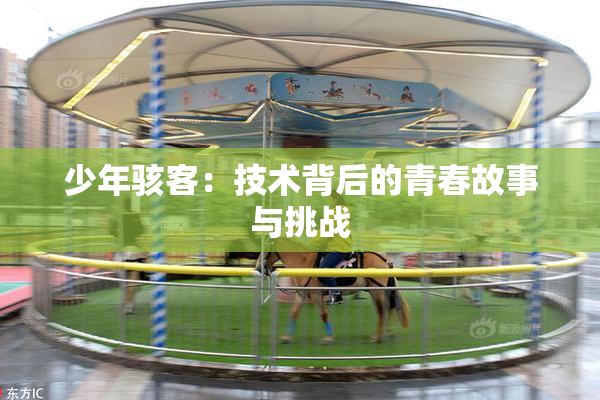 少年骇客：技术背后的青春故事与挑战