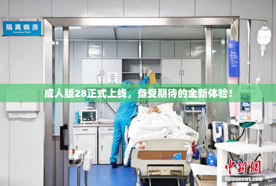 成人版28正式上线，备受期待的全新体验！