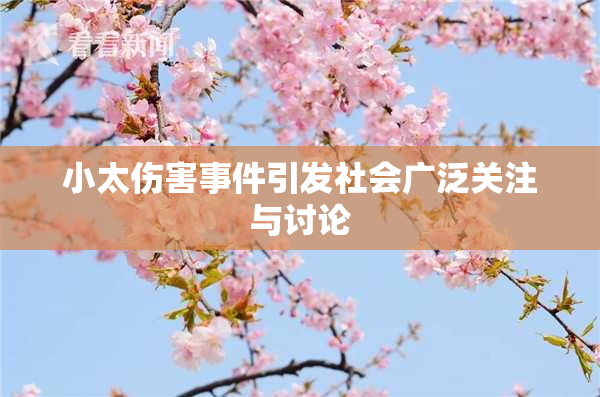 小太伤害事件引发社会广泛关注与讨论