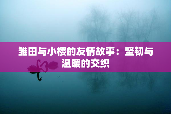 雏田与小樱的友情故事：坚韧与温暖的交织