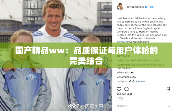 国产精品ww：品质保证与用户体验的完美结合