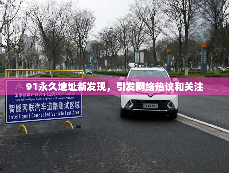 91永久地址新发现，引发网络热议和关注
