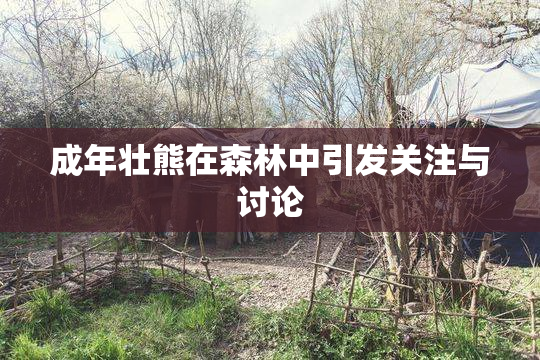 成年壮熊在森林中引发关注与讨论