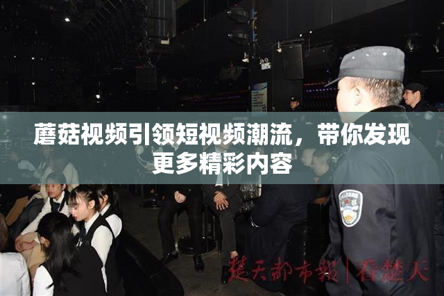 蘑菇视频引领短视频潮流，带你发现更多精彩内容