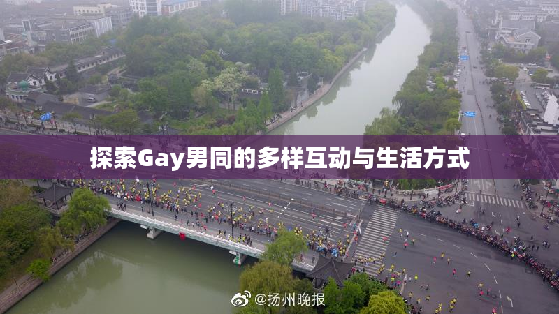 探索Gay男同的多样互动与生活方式