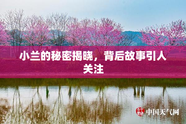 小兰的秘密揭晓，背后故事引人关注