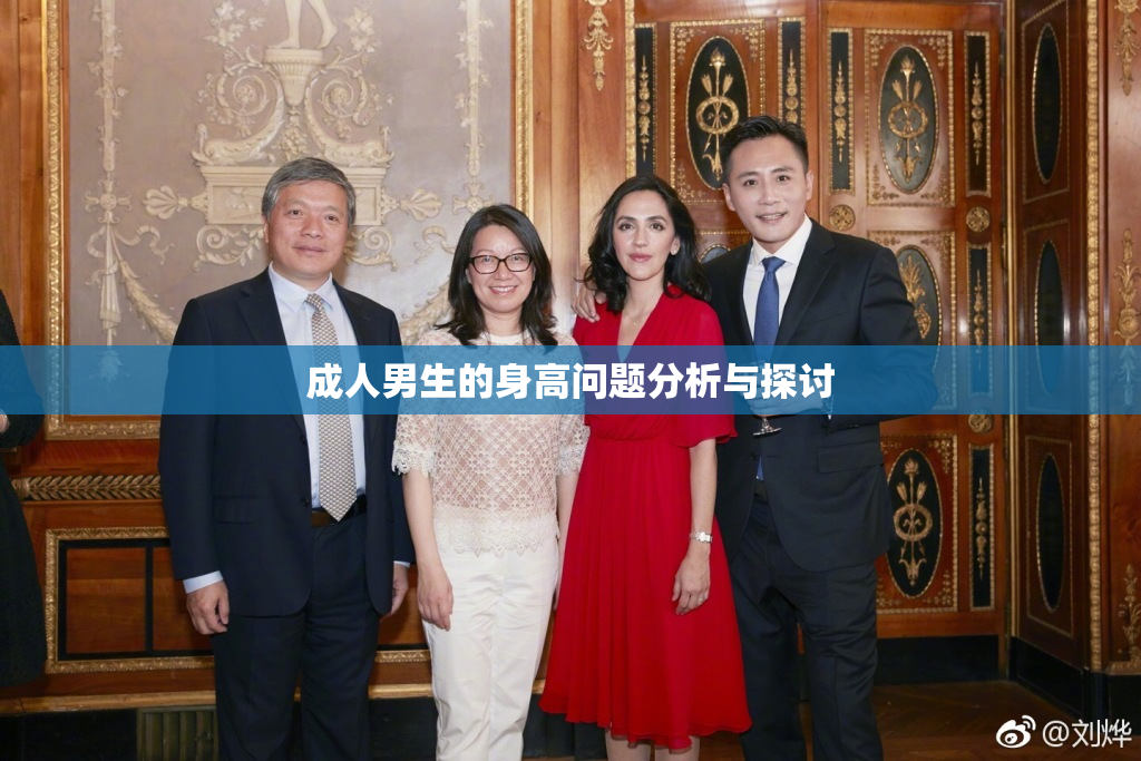 成人男生的身高问题分析与探讨