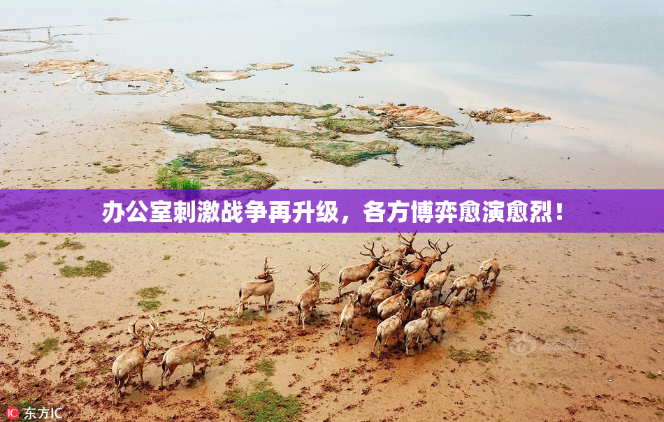 办公室刺激战争再升级，各方博弈愈演愈烈！