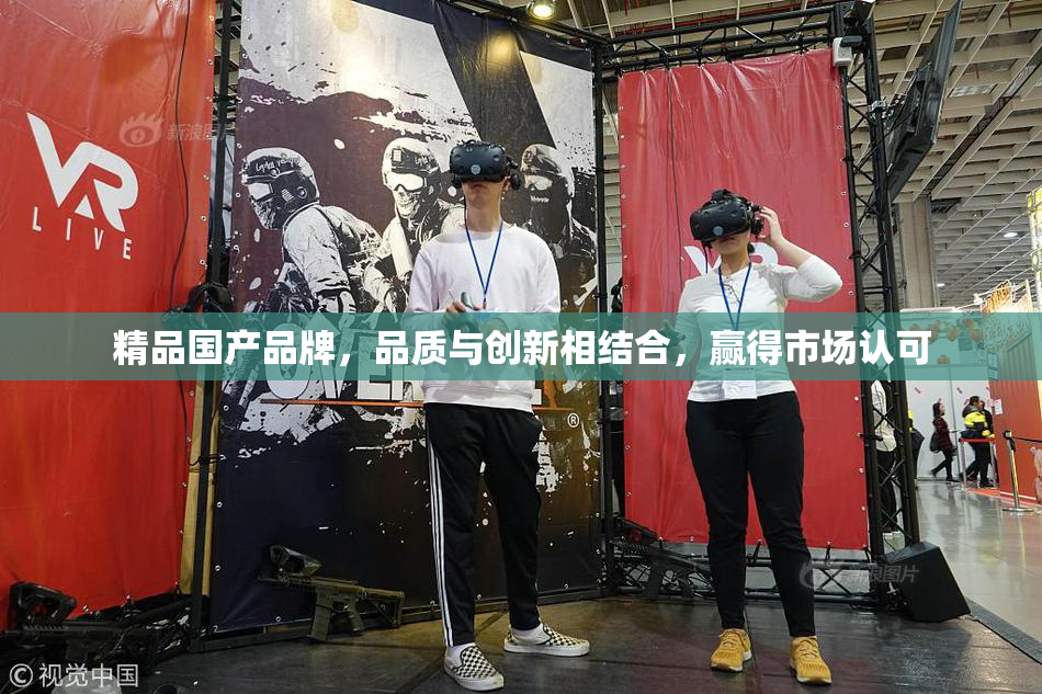 精品国产品牌，品质与创新相结合，赢得市场认可
