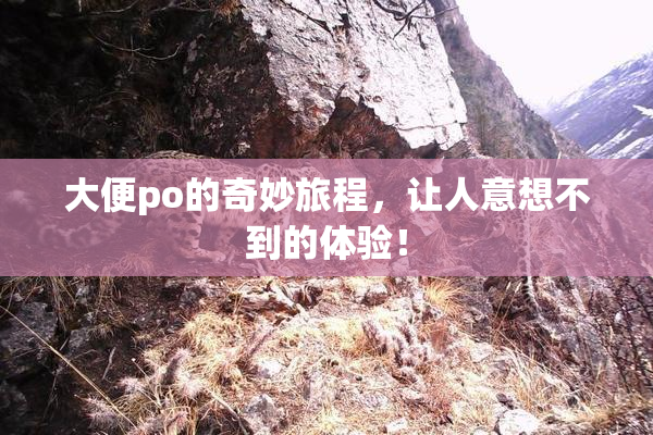 大便po的奇妙旅程，让人意想不到的体验！