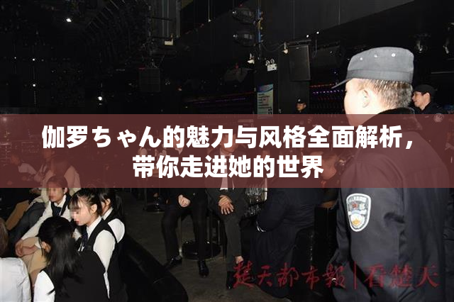 伽罗ちゃん的魅力与风格全面解析，带你走进她的世界