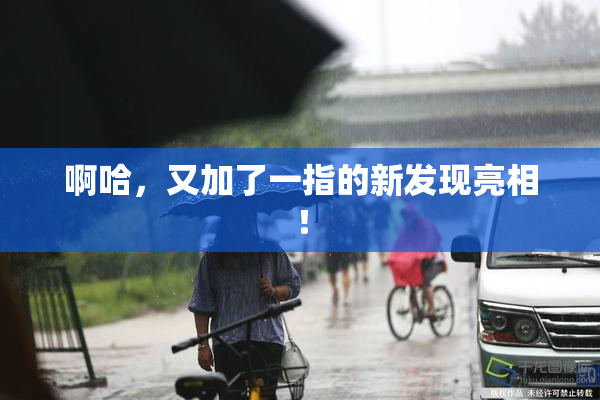 啊哈，又加了一指的新发现亮相！