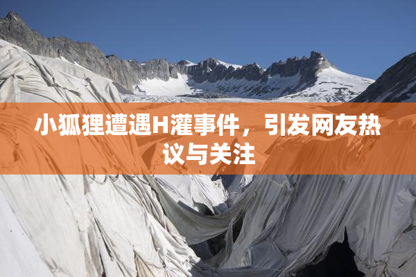 小狐狸遭遇H灌事件，引发网友热议与关注