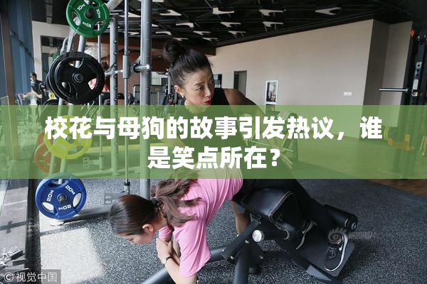 校花与母狗的故事引发热议，谁是笑点所在？