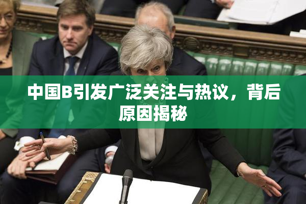 中国B引发广泛关注与热议，背后原因揭秘